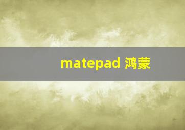 matepad 鸿蒙